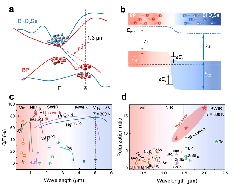 Momentum Matching And Band Alignment Van Der Waals Heterostructures For High Efficiency Infrared 6136