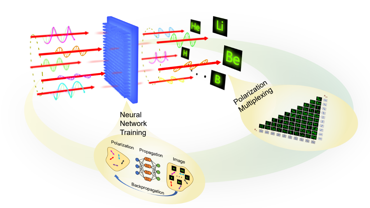 Advancement in Non-Orthogonal Polarization Holographic Multiplexing Enabled by Diffractive Optical Neural Network