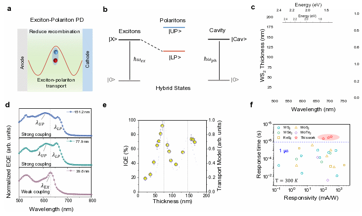 Shanghai Institute of Technical Physics discovers the “Exciton-Polariton Photodetection Effect”State Key Laboratory of Infrared Physics